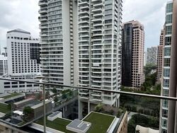 St. Regis Residences (D10), Apartment #585290781